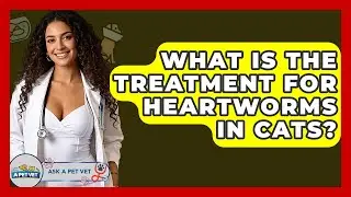 What Is The Treatment For Heartworms In Cats? - Ask A Pet Vet