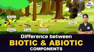 What Is Biotic & Abiotic ? Meaning & Definition | Hindi & English