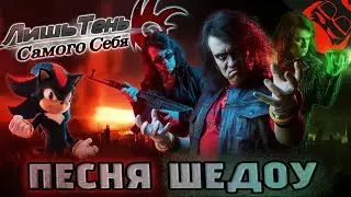(Sonic The Hedgehog) SHADOW OF MYSELF/ The Stupendium/Перевод: Протоколы/Анимация
