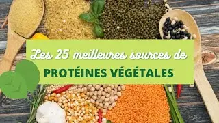 25 sources de PROTÉINES VÉGÉTALES