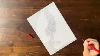 Live Drawing