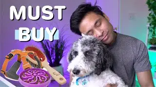 5 Accessories Every Dog Owner NEEDS | Puppy Essentials