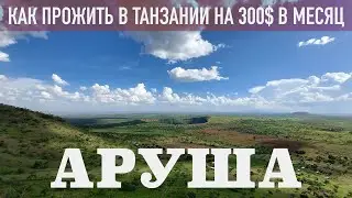 ТАНЗАНИЯ АРУША 2022. ЦЕНЫ НА ПРОДУКТЫ И ЖИЛЬЁ. ДОБРЫЙ КЛИМАТ.ВУЛКАН БОГА.ЧЕМ ЗАНЯТЬСЯ. СПАСЕНИЕ ЕЖА.