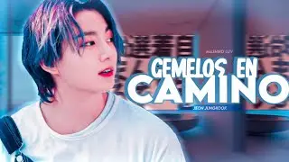 𓄼 🌷 ꒰ gemelos en camino. ꒱ ➤ ❪ imagina con jungkook ❫ ; capitulo único