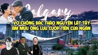 A2156 - VỢ CHỒNG B&Aacute;C THẢO NGUY&Ecirc;N LẬT TẨY &Ocirc;NG ĐĂNG LƯU &Acirc;M MƯU CƯỚP TIỀN CỦA NG&Acirc;N