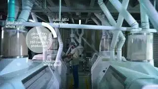 Al Ain Flour Mill Company شركة مطاحن العين للدقيق