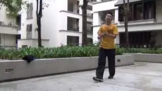 Malaysian Parkour - Condo Tag