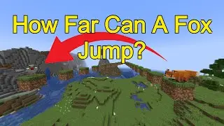 How Far Can A Fox Jump For The Dinner????