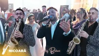 Fane Bănățeanu & Armin Nicoară și Petrică Nicoară ✗ Nuntă Lugoj - Colaj Br&acirc;uri