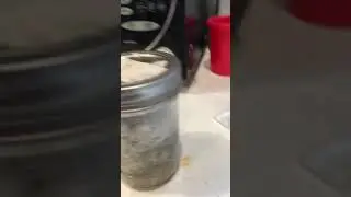 Contaminated grain if you would ever save