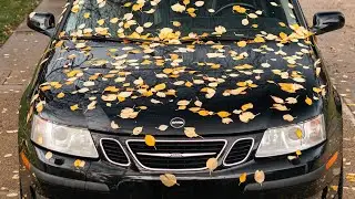 2006 Saab 9-3 Aero Cruise | ASMR