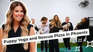 Puppy Yoga and Rescue Pizza in Phoenix