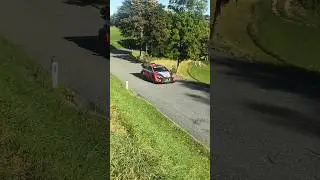 Suninen Test - Rallye Austria🇦🇹 #wrc