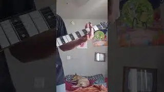 Free playing with no music theory.