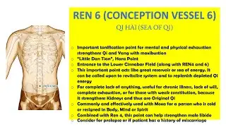REN 6 (CONCEPTION VESSEL 6) QIHAI (SEA OF QI)
