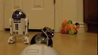 Sphero BB-9e Rolls on the scene and says no