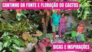FONTE DE BARRO: DICA DE PLANTAS PARA LAGO E FLORAÇÃO DOS CACTOS | QUINTAL DA TERRA | Quintal da Zizi