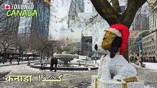 Toronto&rsquo;s Famous Dog Park: Berczy Park Tour | A Winter Wonderland in Downtown