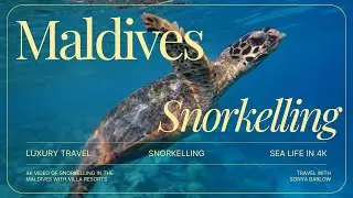 Snorkelling in The Maldives 4K EXPLORING Hidden Gems