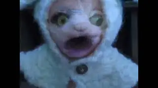 DON'T TOUCH THE CHILD! 😡 My Little Goat