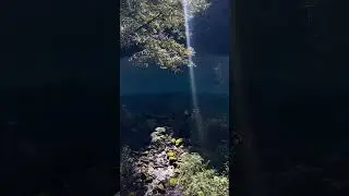 How to do a daytrip to Alishan, Taiwan?