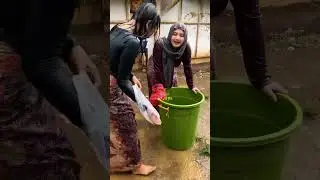 Rural life is full of fun #Snapshots #LifeRecords #FastGrowthPlan #TrendyLifeGrowth