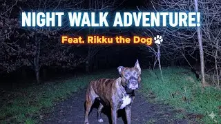 NIGHT WALK ADVENTURE! 🐾 Exploring the Dark Woods with Rikku #dog #walking 
