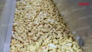 Cashew Nut Roasting Machine For Sale From Cara@machinehall.com 008613015518550