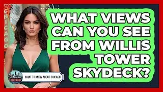 What Views Can You See From Willis Tower Skydeck?