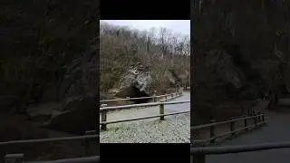 Loups en Ardenne, et entr&eacute;e de la Lesse dans les Grottes de Han, BE, dec 2025, by #habarisalam