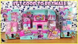 Shopkins Lil Secrets Secret Small Mall Unboxing + Dance Studio & Cool Scoops Cafe! | Birdew Reviews