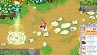 &laquo;Trickster Online Finale&raquo; Racoon Skills