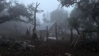 En 20 días se puede definir lo que queda de vida ! 