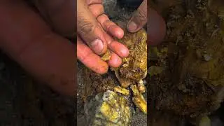 Found a white stone with a gold nugget in it.