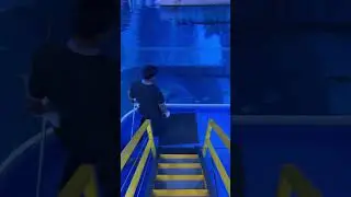 Feeding the fish at Dubai Mall Aquarium 🐠 #dubai #dubailife #dubaiinfluencer #dubaimall #aquarium