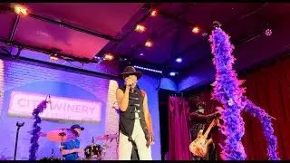 Purple Madness - Prince Tribute Band, Bobby Miller - Nothing Compares 2 U, Live Concert