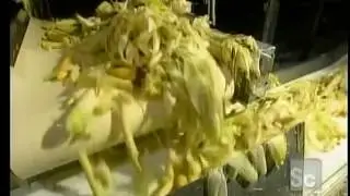 How It's Made Canned Corn