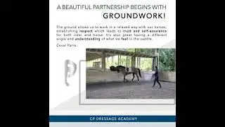 Dressage Groundwork with Dr. Cesar Parra