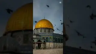 our emotion Masjid Al Aqsa 🥺😔😭.#shorts #short #masjidalaqsa #islam #emotion