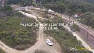 LiDAR for Vegetation