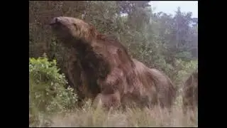 Walking With Beasts 2001 Megatherium 🦥🦥🦥🦥🦥🦥