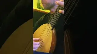 Spanish Renaissance Lute Music #music #lute #shorts #renaissance #spain #guitar