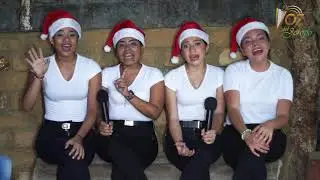 Villancicos - Especial Navidad Llanera - Las Mariselas del Llano