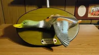 Flying Singing Duck “Born to be Wild” “Please Release Me”