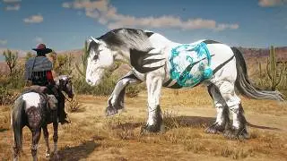 Я нашёл рунного коня в RDR2&hellip; и решил его приручить.