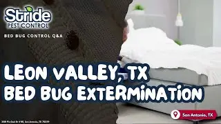 Leon Valley, TX Bed Bug Extermination (210) 547-8410