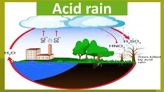 Acid Rain General Science Chapter 4 Class 8 || Acid rain class 8