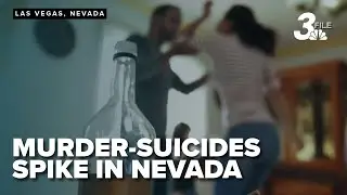 Nevada sees surge in murder‑suicides: domestic violence group sounds alarm