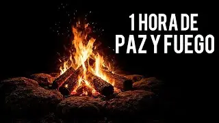 1 Hora de Fogata Relajante Paz y Calma para Dormir | Quiet Moments