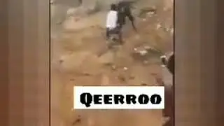 Qeerroo Qeerransa Sabaa